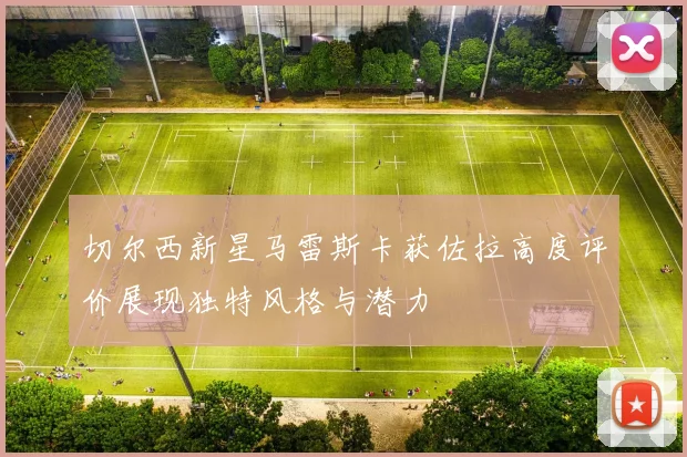 切尔西新星马雷斯卡获佐拉高度评价展现独特风格与潜力