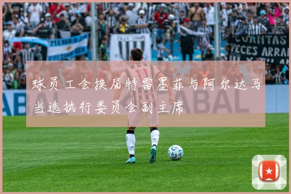 球员工会换届特雷墨菲与阿尔达马当选执行委员会副主席