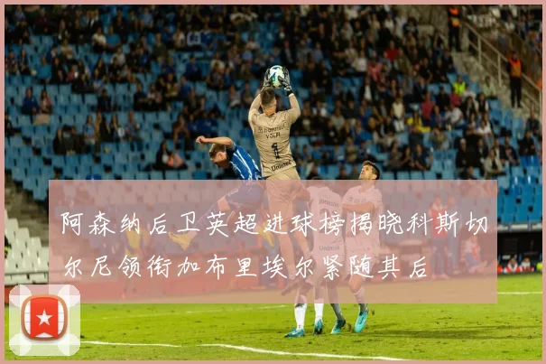 阿森纳后卫英超进球榜揭晓科斯切尔尼领衔加布里埃尔紧随其后