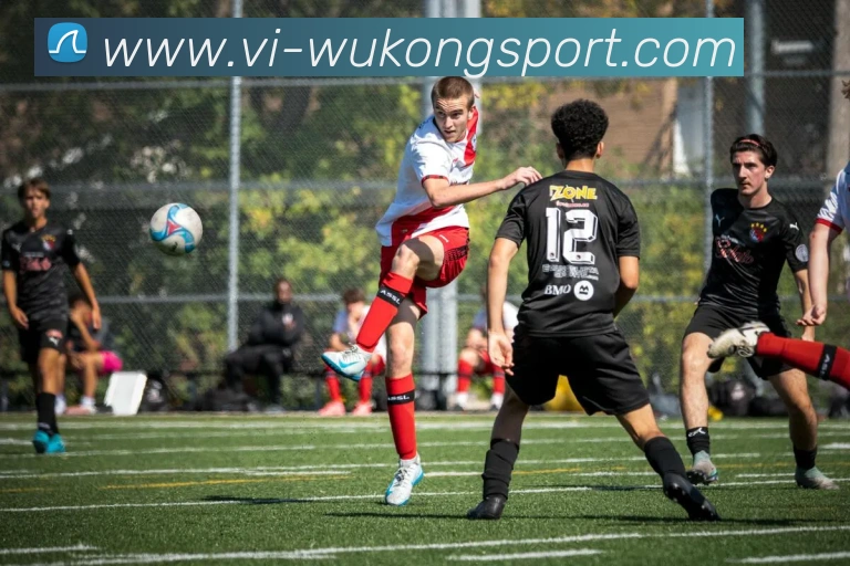 悟空体育平台生态图