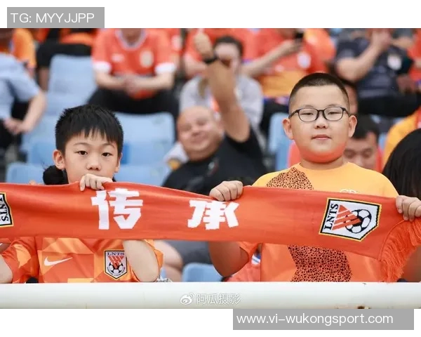 媒体人称泰山球迷频繁讨债无果或需肝移植引发热议