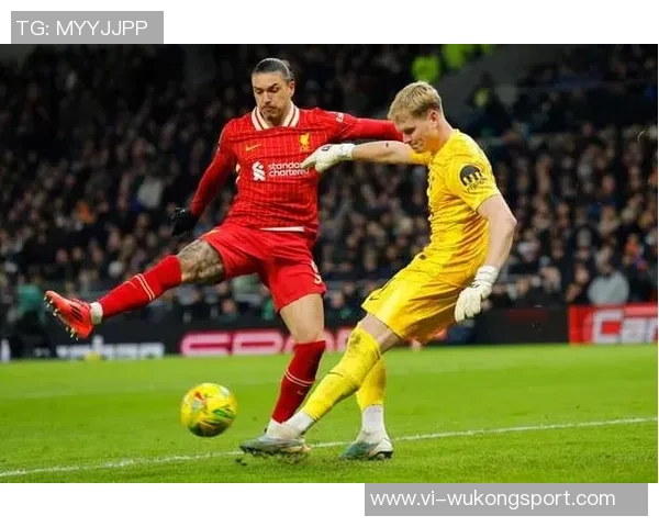 西汉姆联瞄准热刺替补门将金斯基本托加盟热那亚交易临近 西汉姆联瞄准热刺替补门将金斯基本托加盟热那亚交易临近